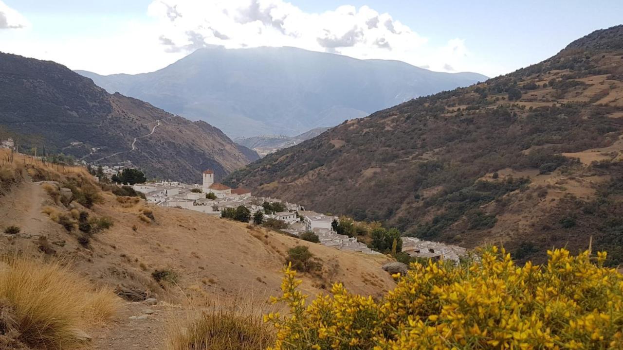 Cónchar B&B La Granadilla מראה חיצוני תמונה