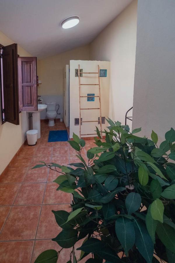 Cónchar B&B La Granadilla מראה חיצוני תמונה